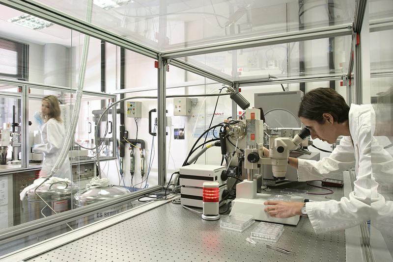 Laboratorio
